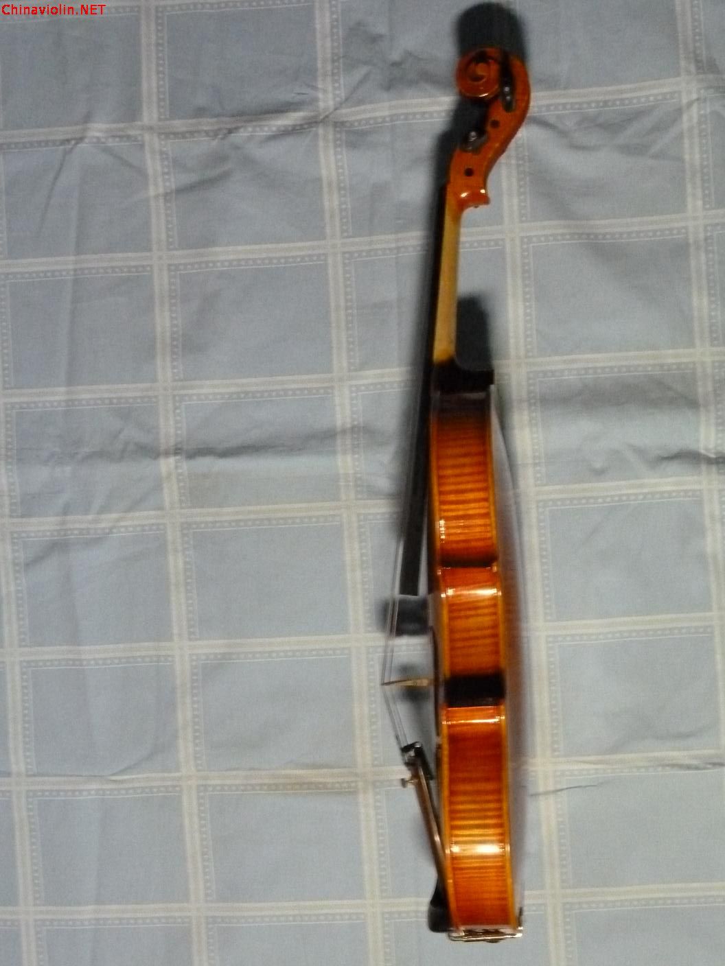 p1000082.jpg