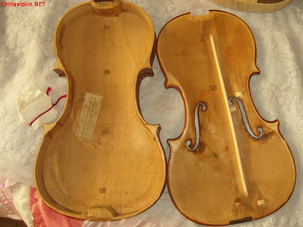 snv86390.jpg