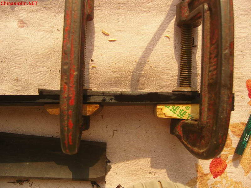 snv86388.jpg