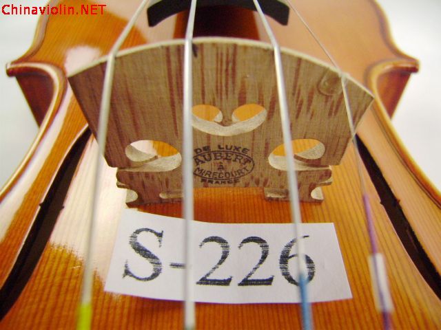 pa270035.jpg