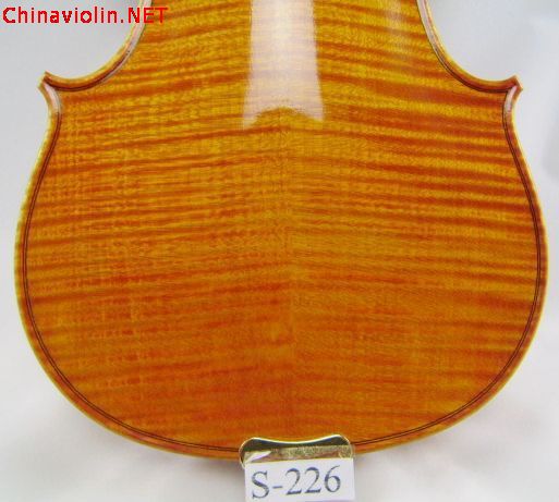 pa270027.jpg