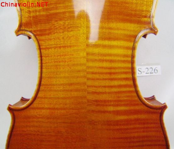 pa270025.jpg