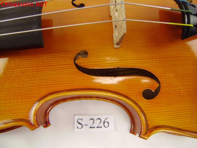 pa270034.jpg
