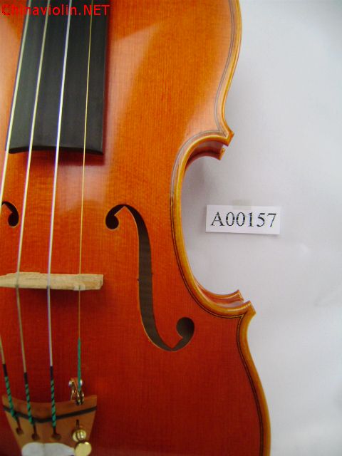 pa300030.jpg