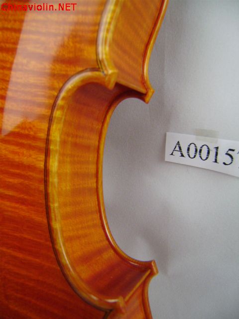 pa300039.jpg