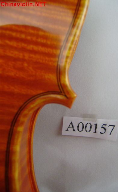 pa300038.jpg
