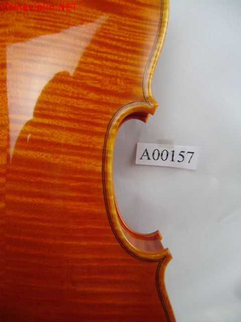 pa300036.jpg
