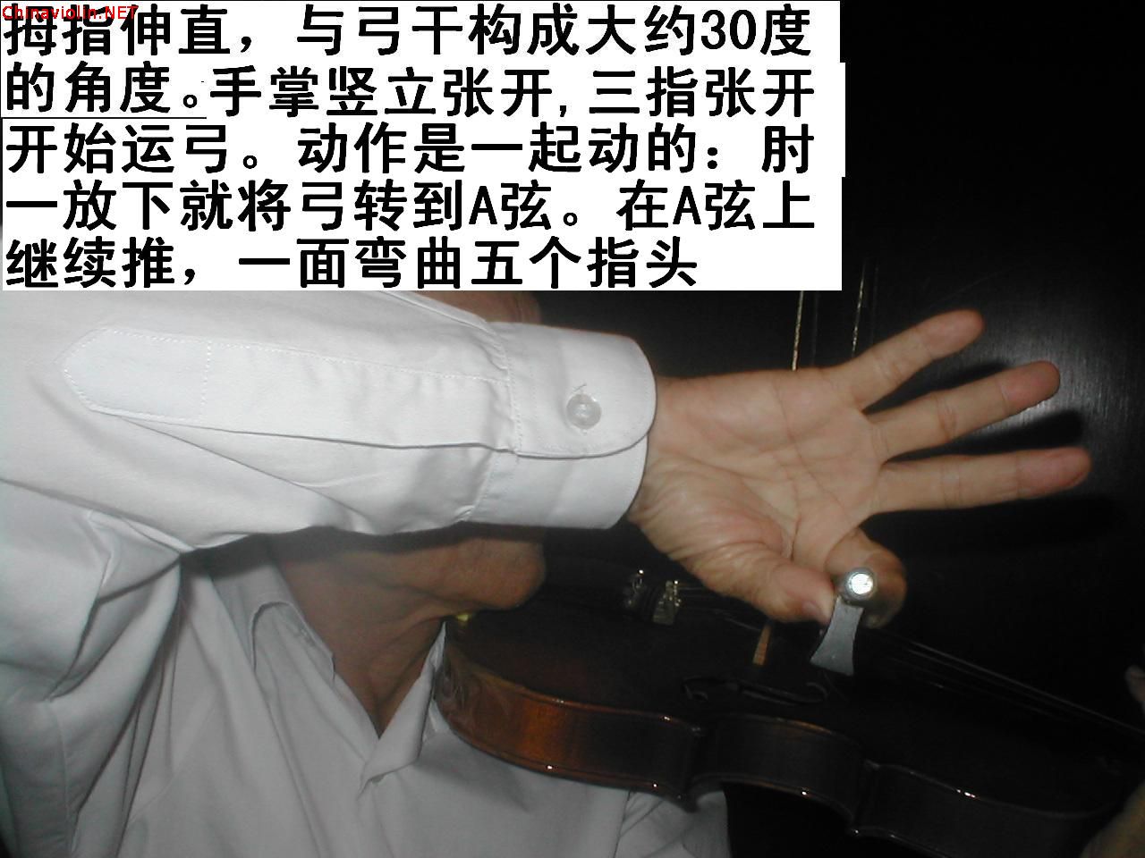 chin 046.jpg