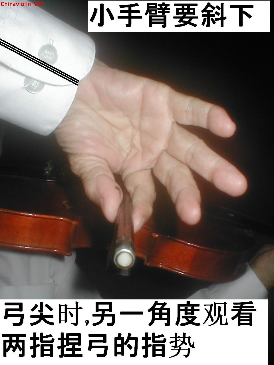 palm view.jpg