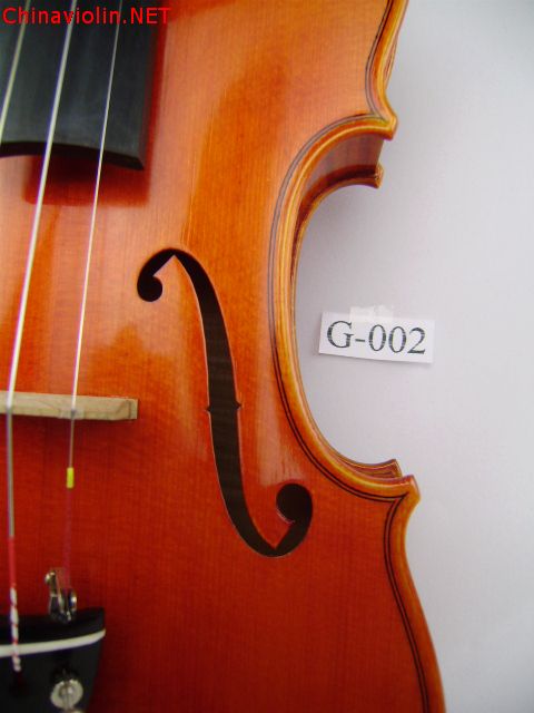 pa310007.jpg