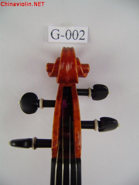 pa310017.jpg