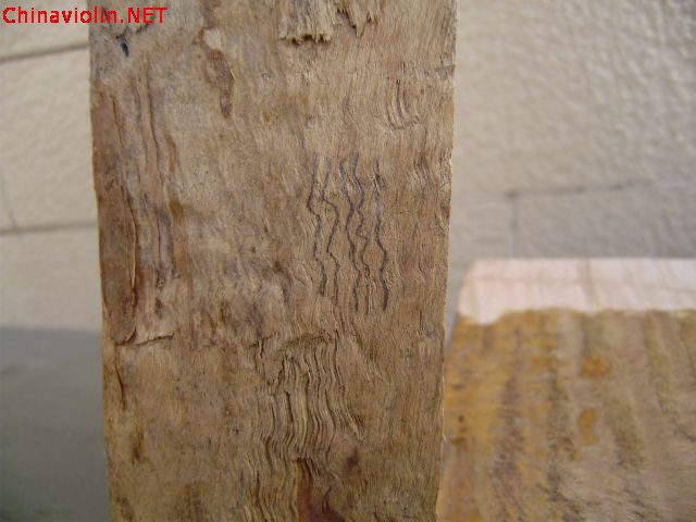 pc120047.jpg