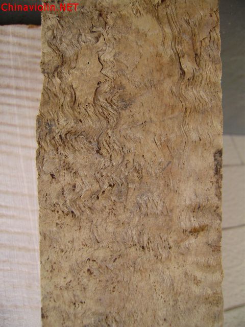 pc120044.jpg