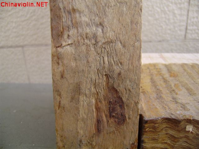 pc120046.jpg