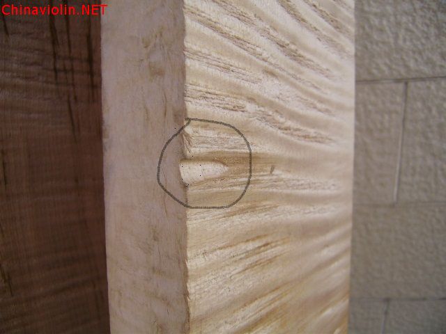 pc120050.jpg