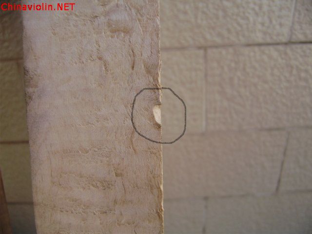 pc120051.jpg