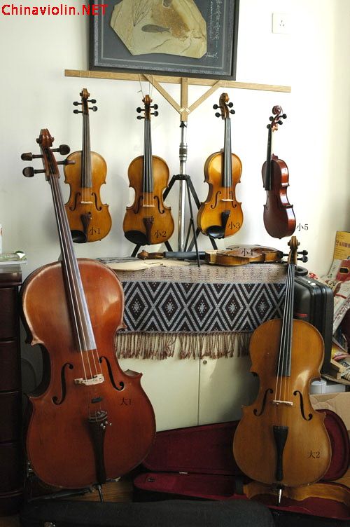 旧货摊上“捡”的一堆琴