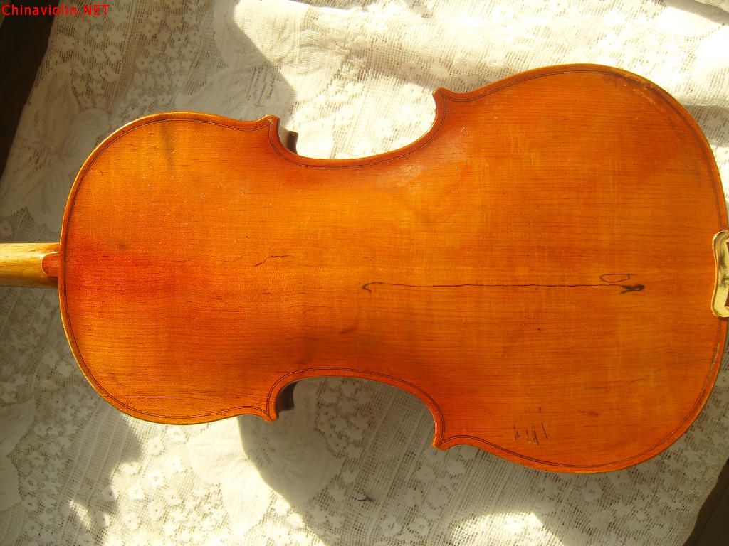 snv86405.jpg