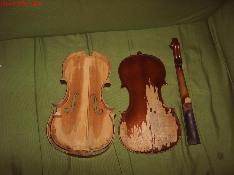 img10003.jpg