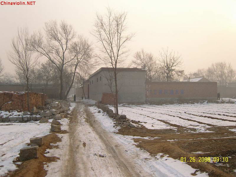 t33.jpg