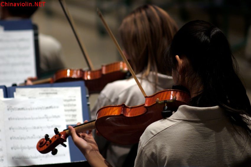violinsgg.jpg