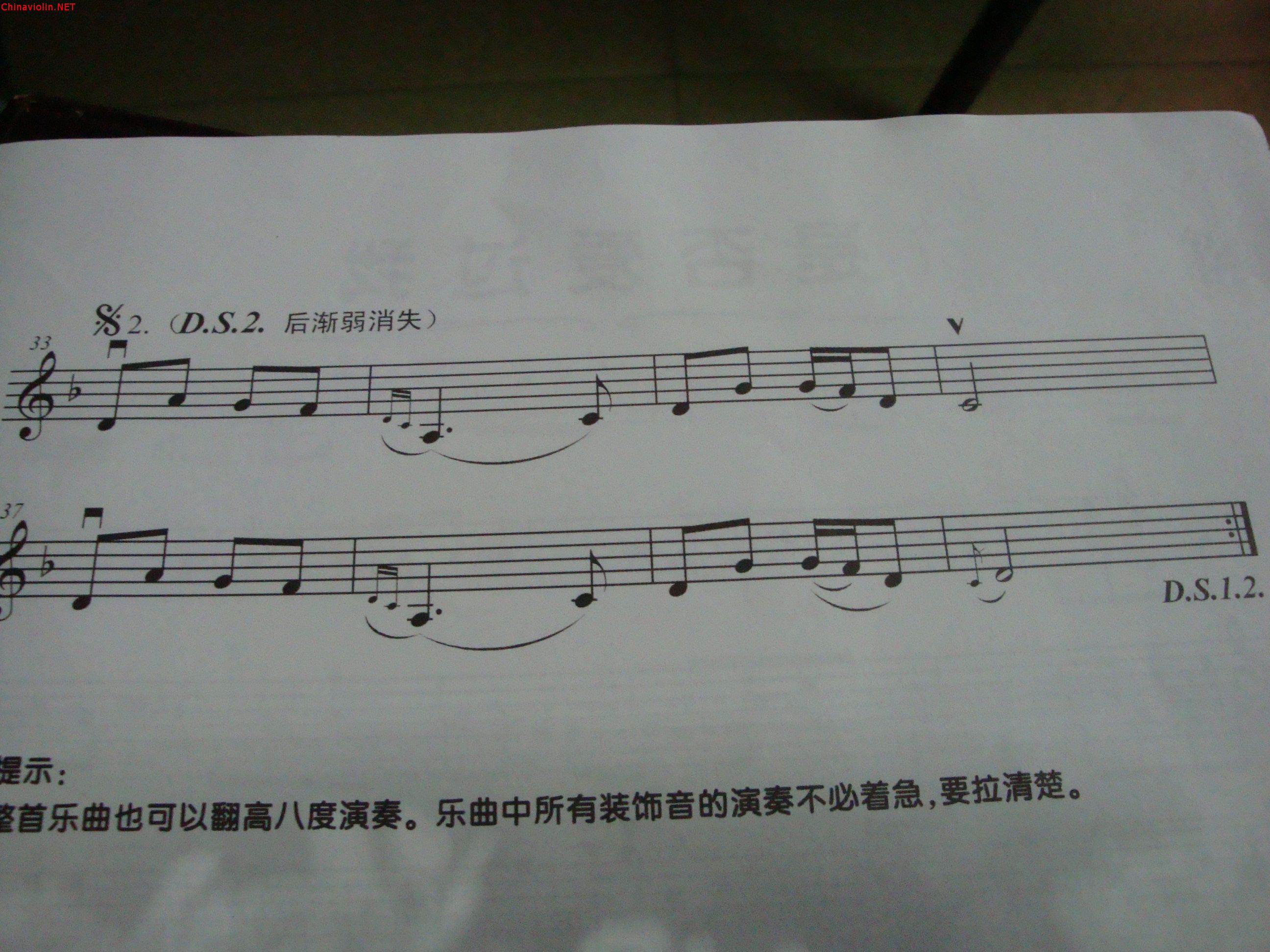 dsc03216.jpg