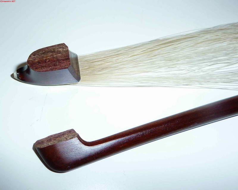 p1000491_r.jpg
