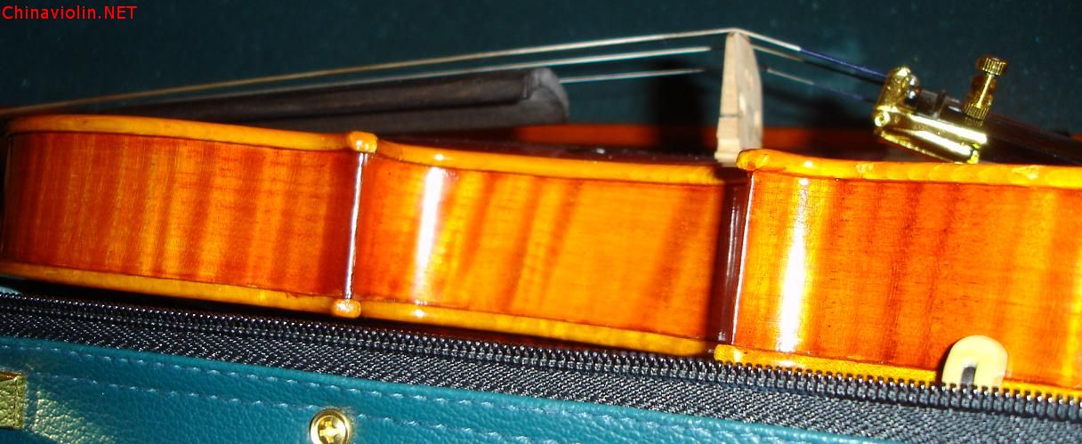 violin6.jpg