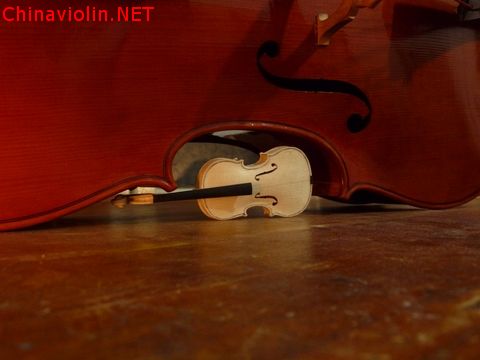 p1010326-1.jpg