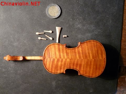 p1010335-1.jpg