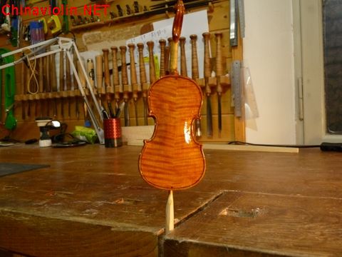 p1010331-1.jpg