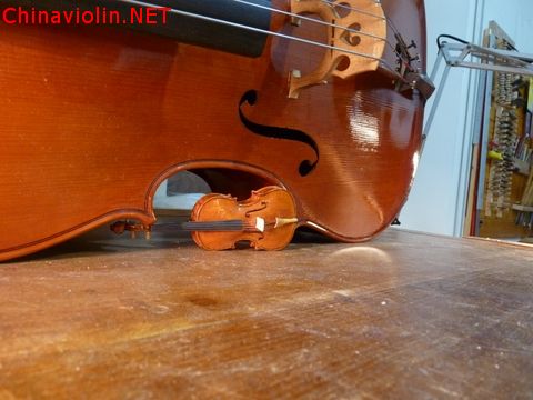 p1010341-1.jpg