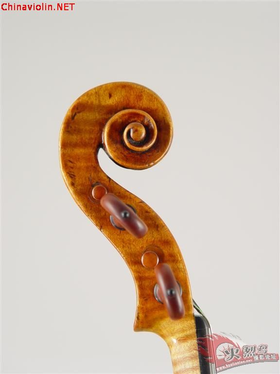 pietro ( venice) guarneri  anno 17363.jpg