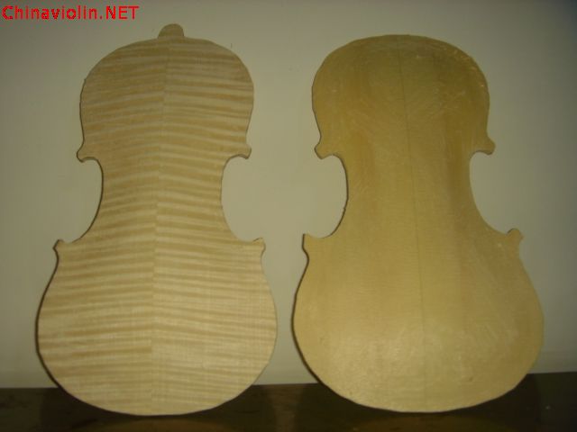 dsc06009.jpg