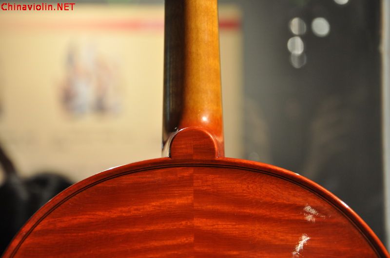 dsc_0033_调整大小.jpg