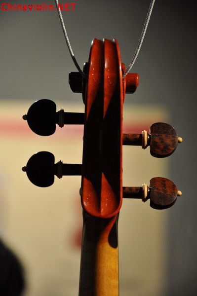 dsc_0037_调整大小.jpg