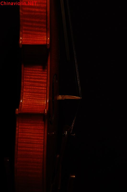 dsc_0211.jpg