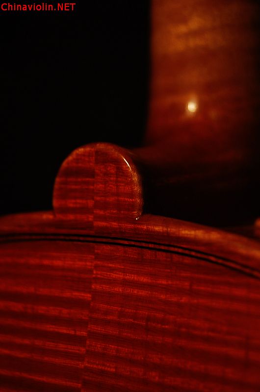 dsc_0207.jpg