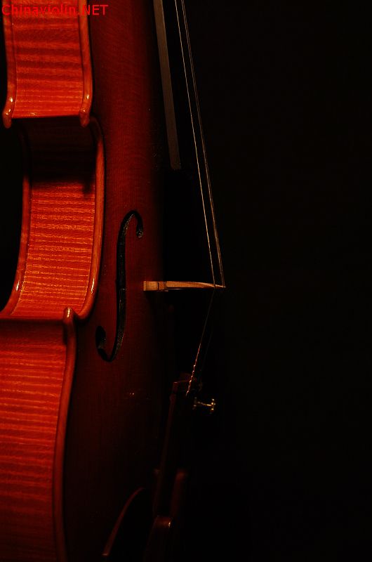 dsc_0213.jpg