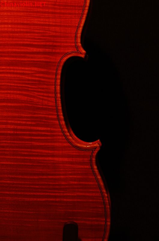dsc_0197.jpg