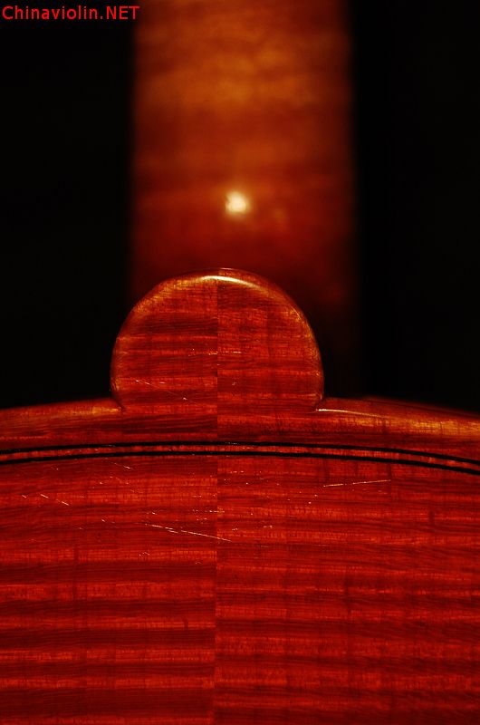 dsc_0208.jpg