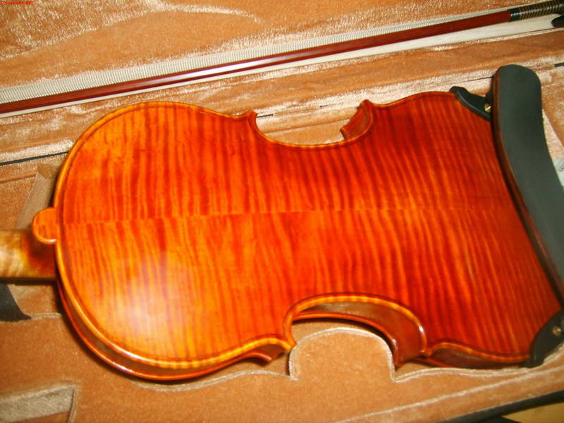 s5003100.jpg