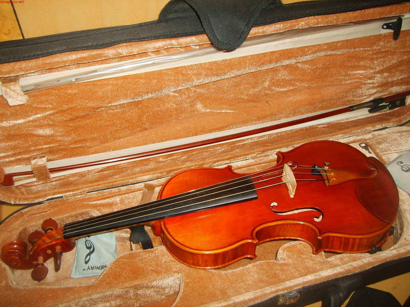 s5003099.jpg