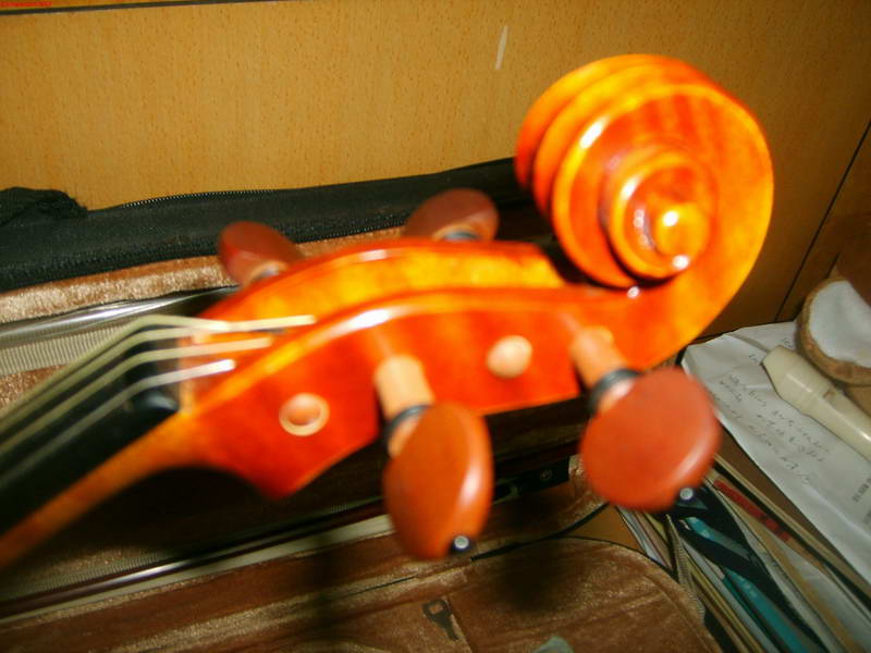 s5003101.jpg