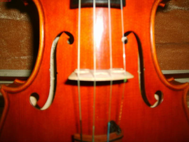 s5003103.jpg