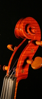 7619c18.jpg