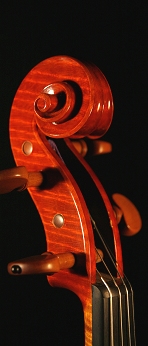 7619c16.jpg