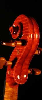 7619c17.jpg