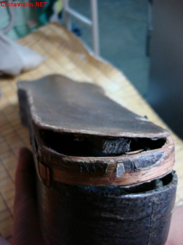 large_5603g56.jpg