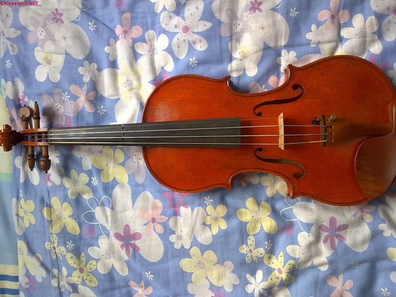 20100609822.jpg